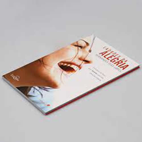 Livro Ladrões da Alegria
